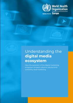 Understanding the digital media ecosystem